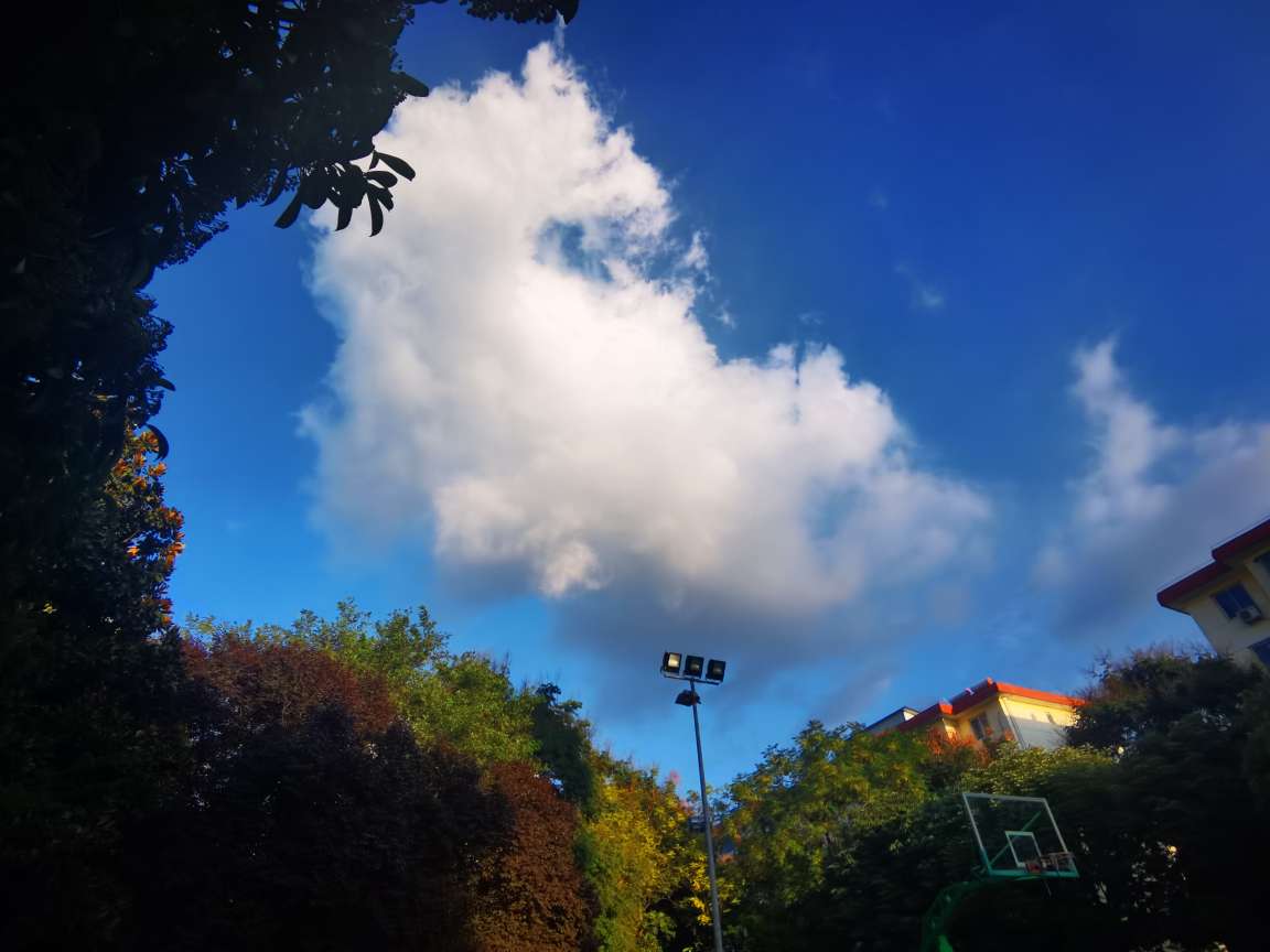 20230929175546front2_0_190403_FlioFfE4RFyfttLfMRX9SF3rAlCz.jpg