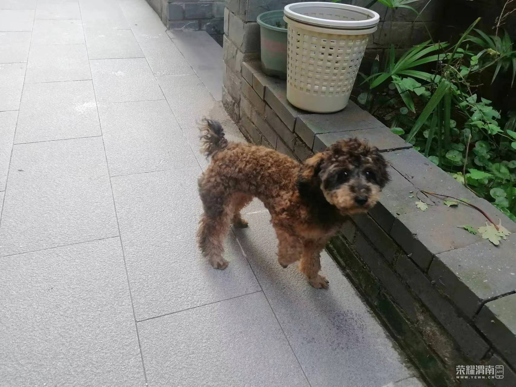 ������̩��