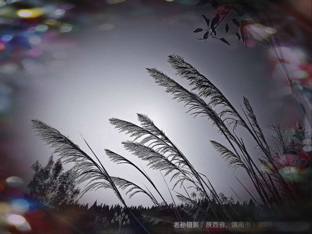 20231014110321front2_0_8888_Fukp1_mZJCztmi4VXKLuEEckRZ-e.jpg