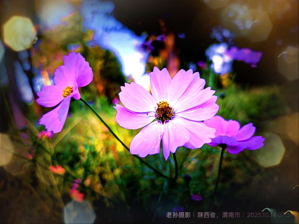 20231014110321front2_0_8888_Fg4_jhulSnfJ2cy-FWUOSREV16Mt.jpg