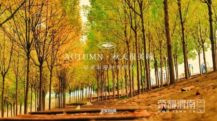 QQ��ͼ20231020084402.jpg
