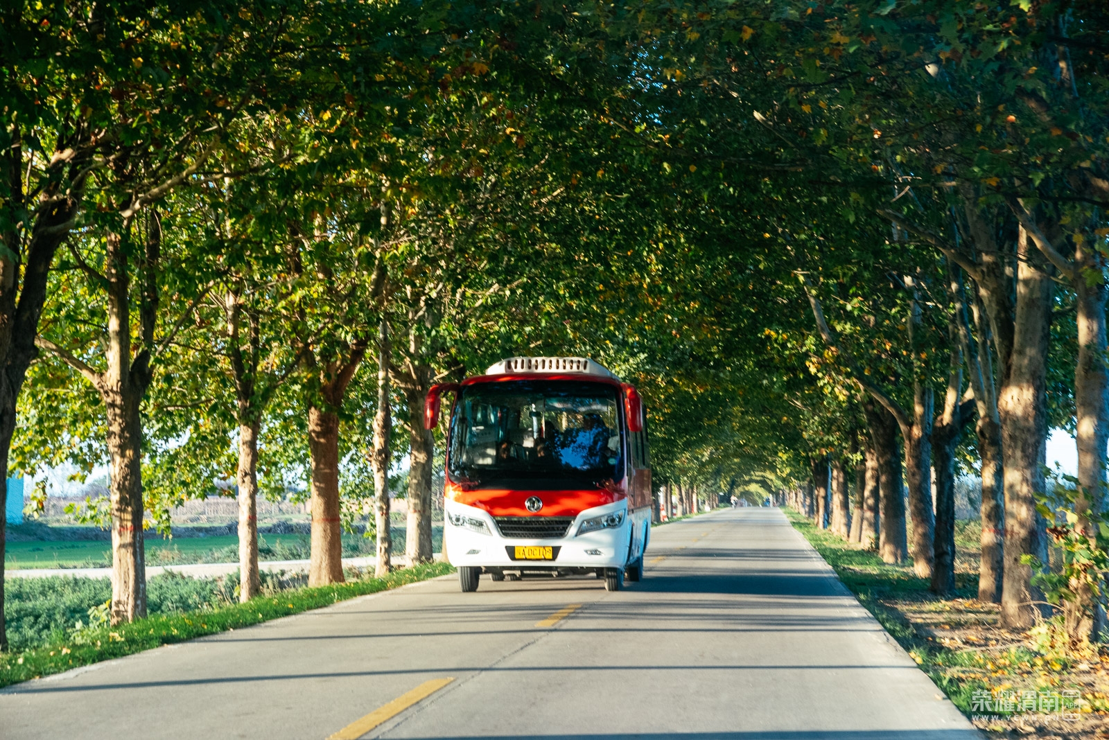 _K1J4551.jpg