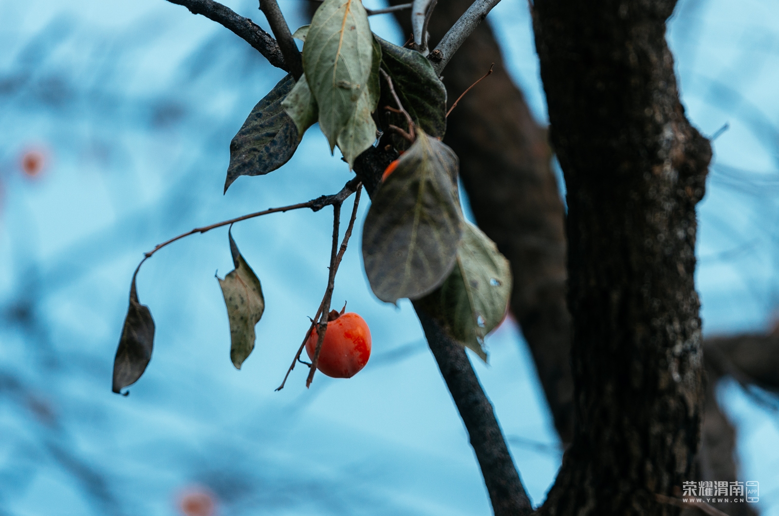_K5F2626.jpg