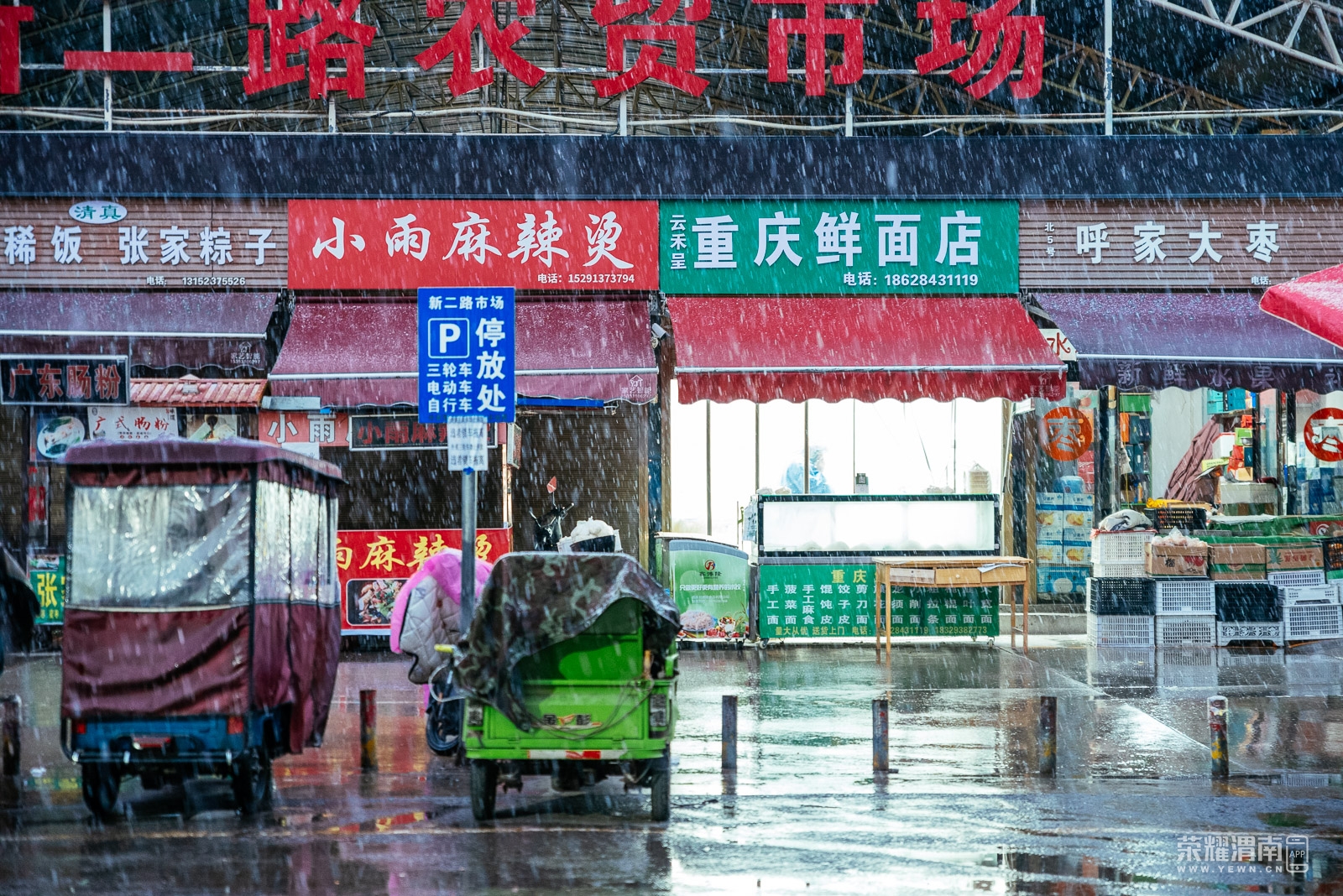 _K1J4975.jpg