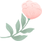 161128q86z5coor66ryygg.png