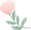 161128nuzqd9dqqvkdm9n2.png
