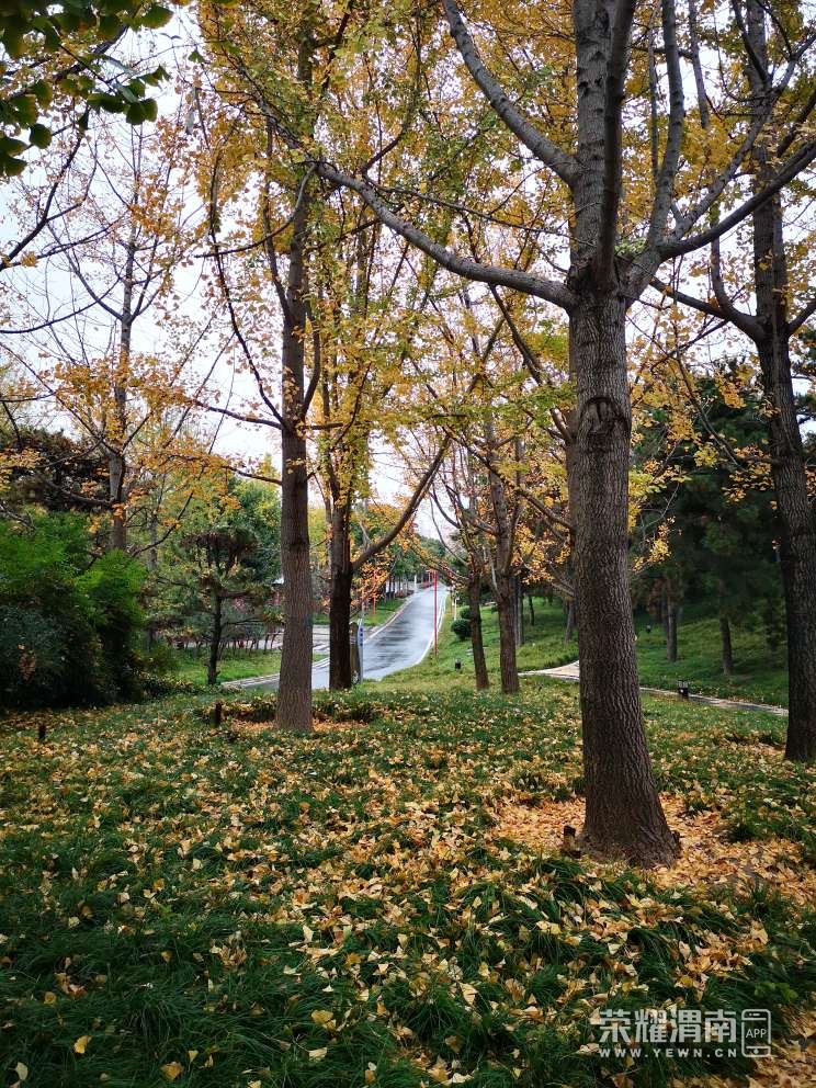 20231120122349front2_0_290576_FpqBe9UyP-yObDSeOdr1KgLZFScy.jpg