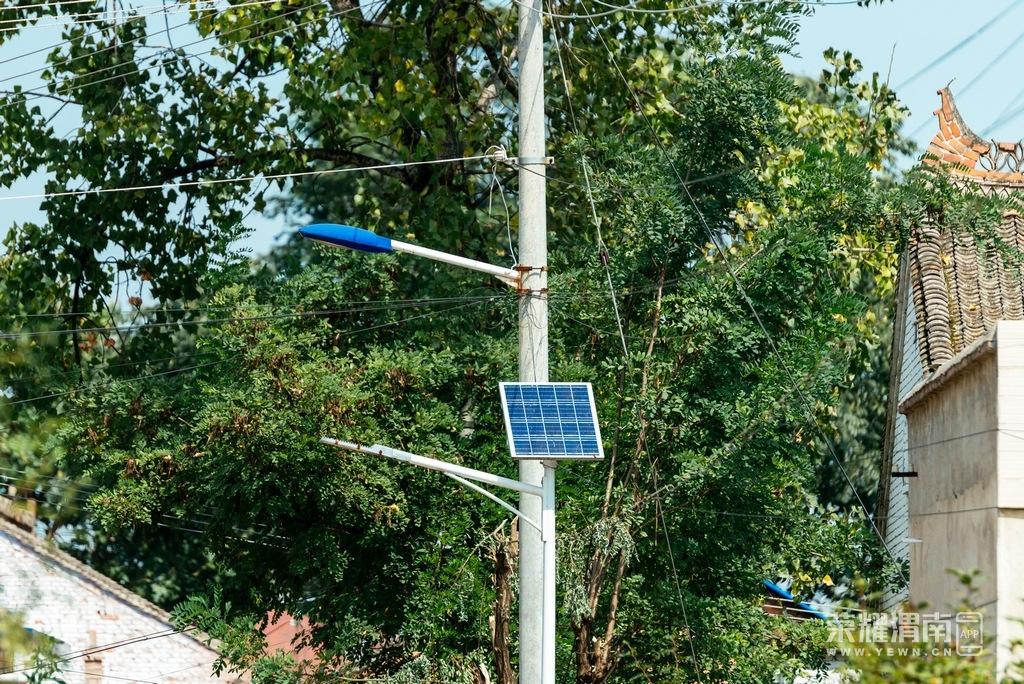_K5E0254.jpg