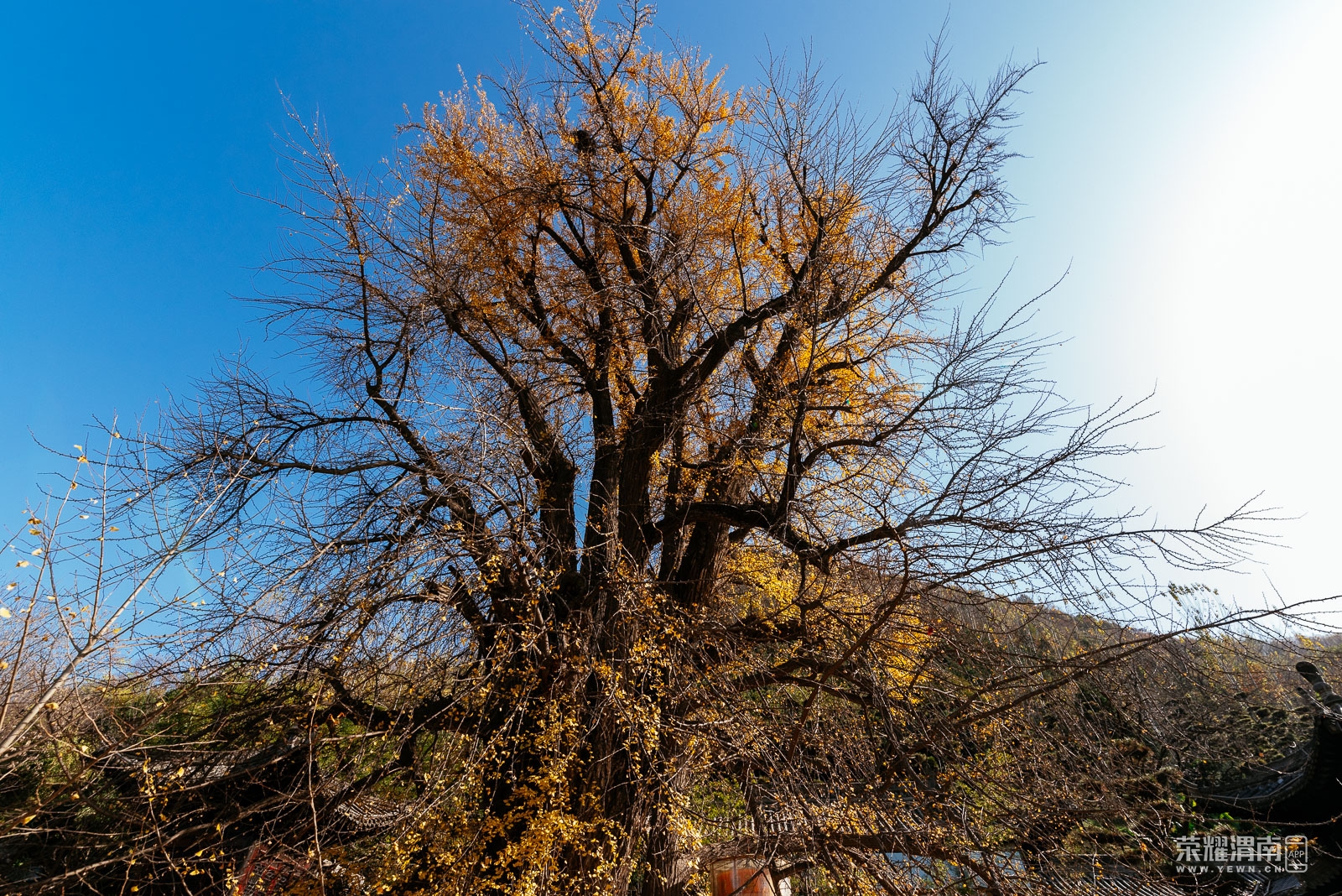 С�γ����� (70).jpg