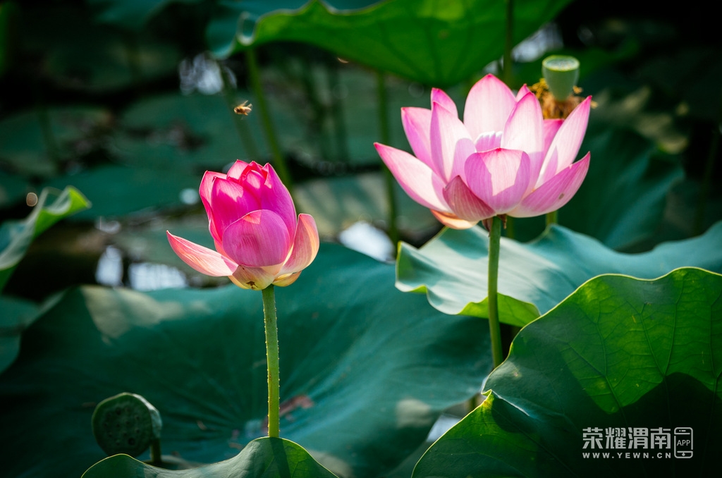 ��μ��ȫ�꾫ѡ (136).jpg