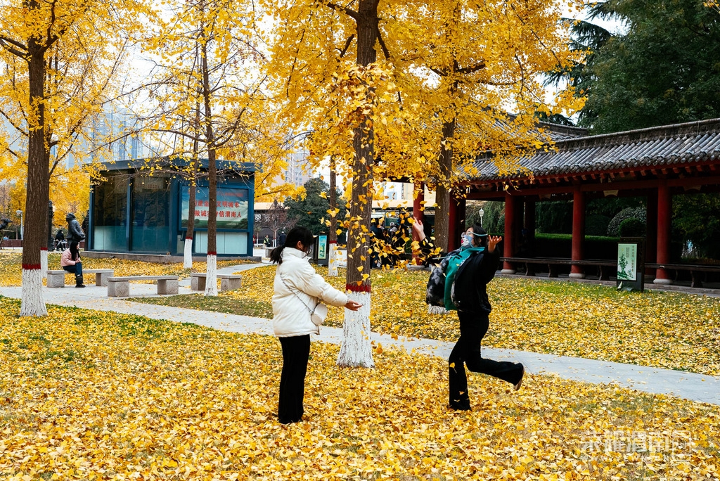 ��μ��ȫ�꾫ѡ (228).jpg