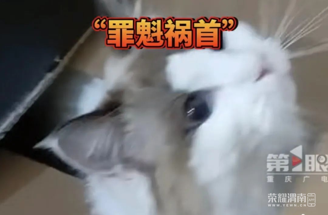 152416o1pudpt7paqx744j.jpeg