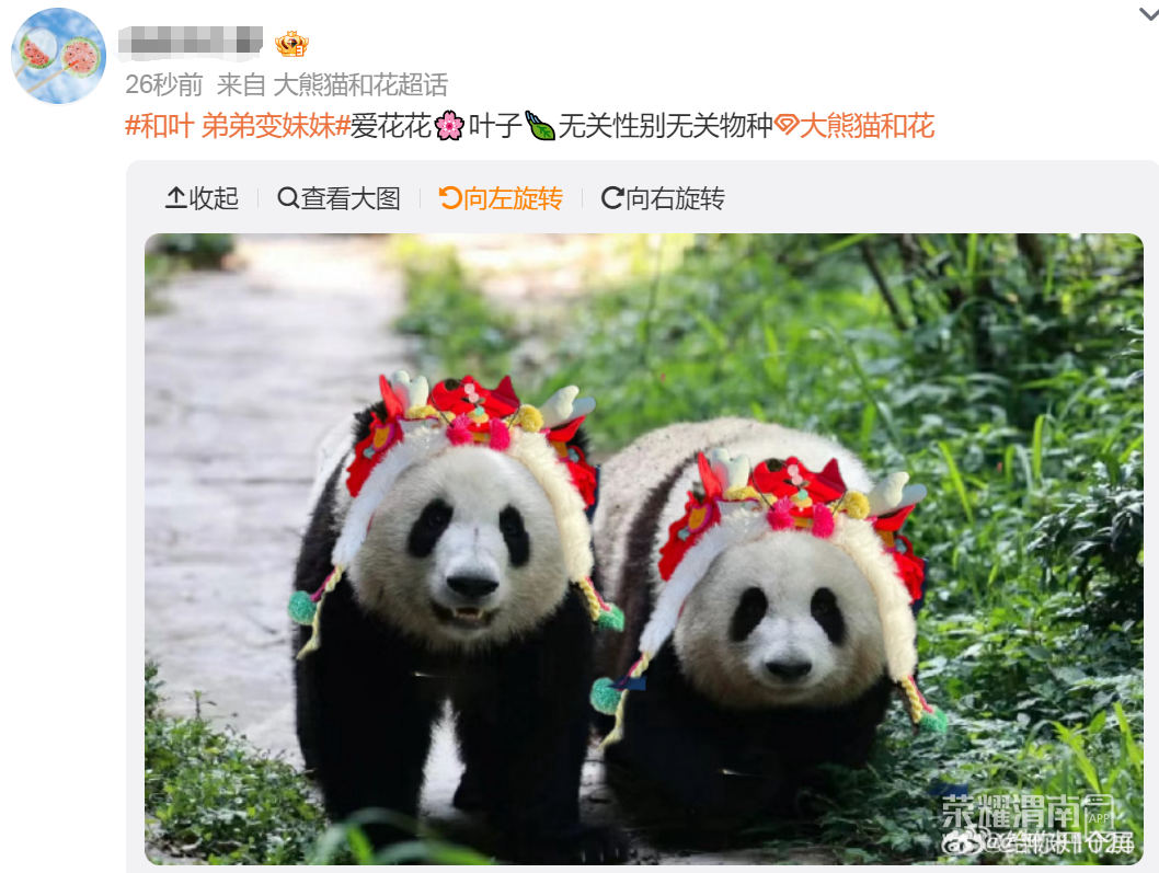 142831xixwddz5xxirc6rx.png