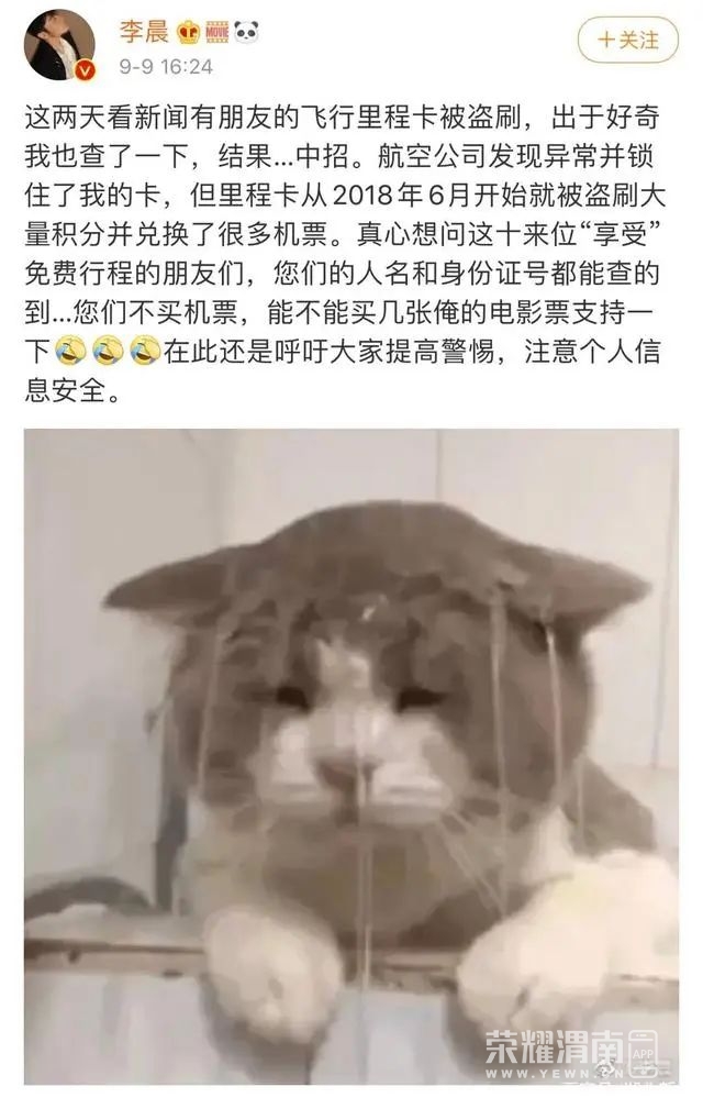 160447uwdg4j6tjfqjpjnl.jpeg