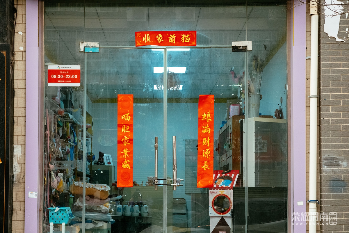 _K1J8638.jpg