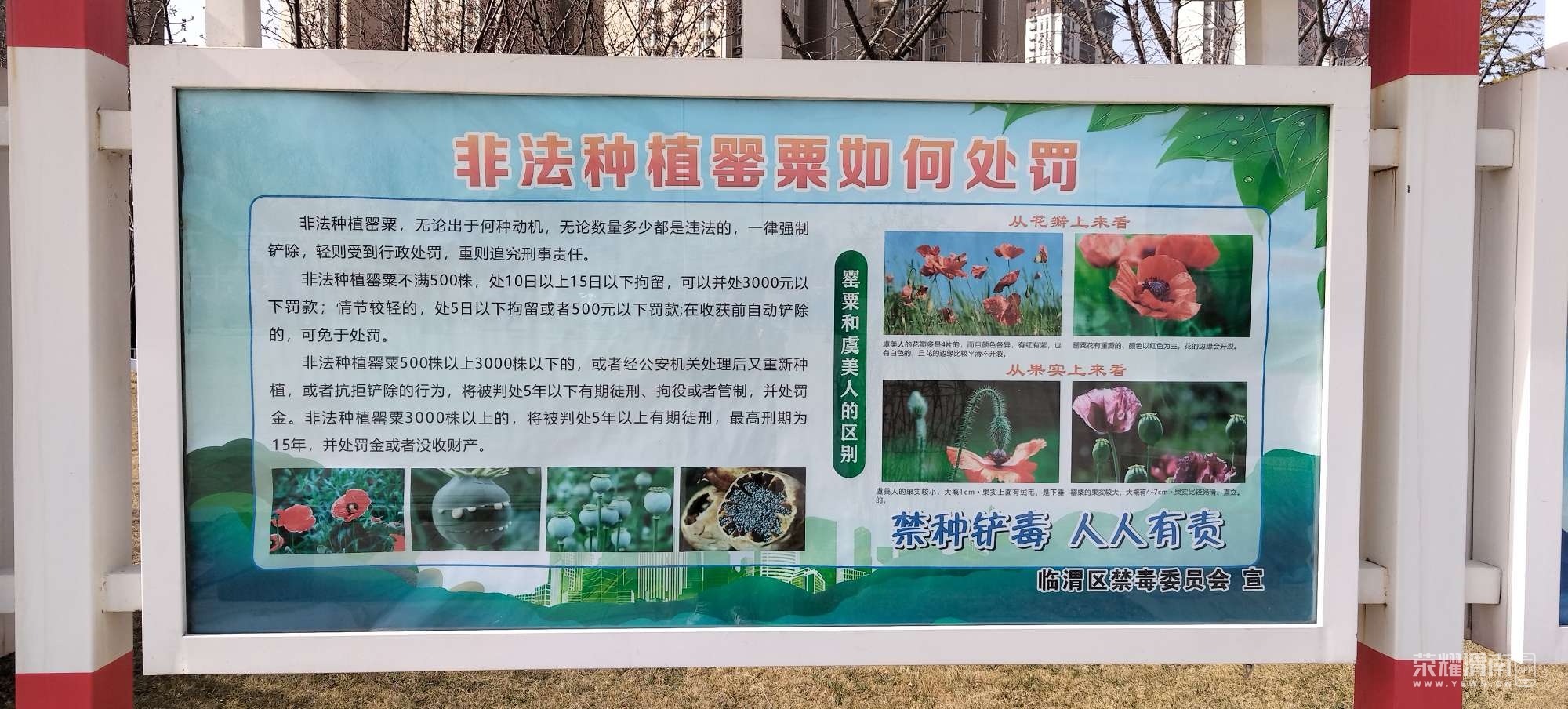 20240307102541front2_0_206085_FkUyB_-4ncwrW7ZpqL8N_95uoluo.jpg