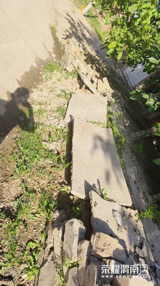 79.jpg