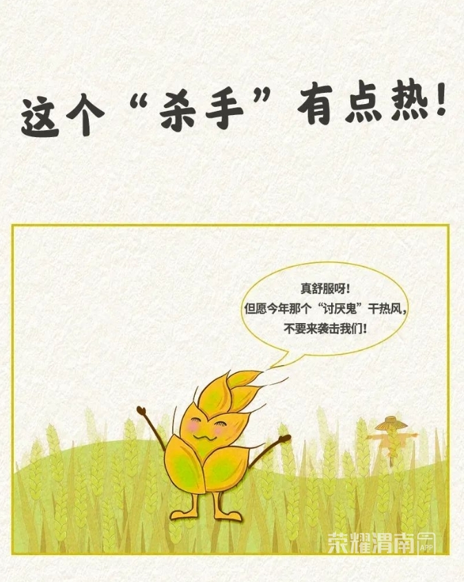 ΢�Ž�ͼ_20240521160326.png