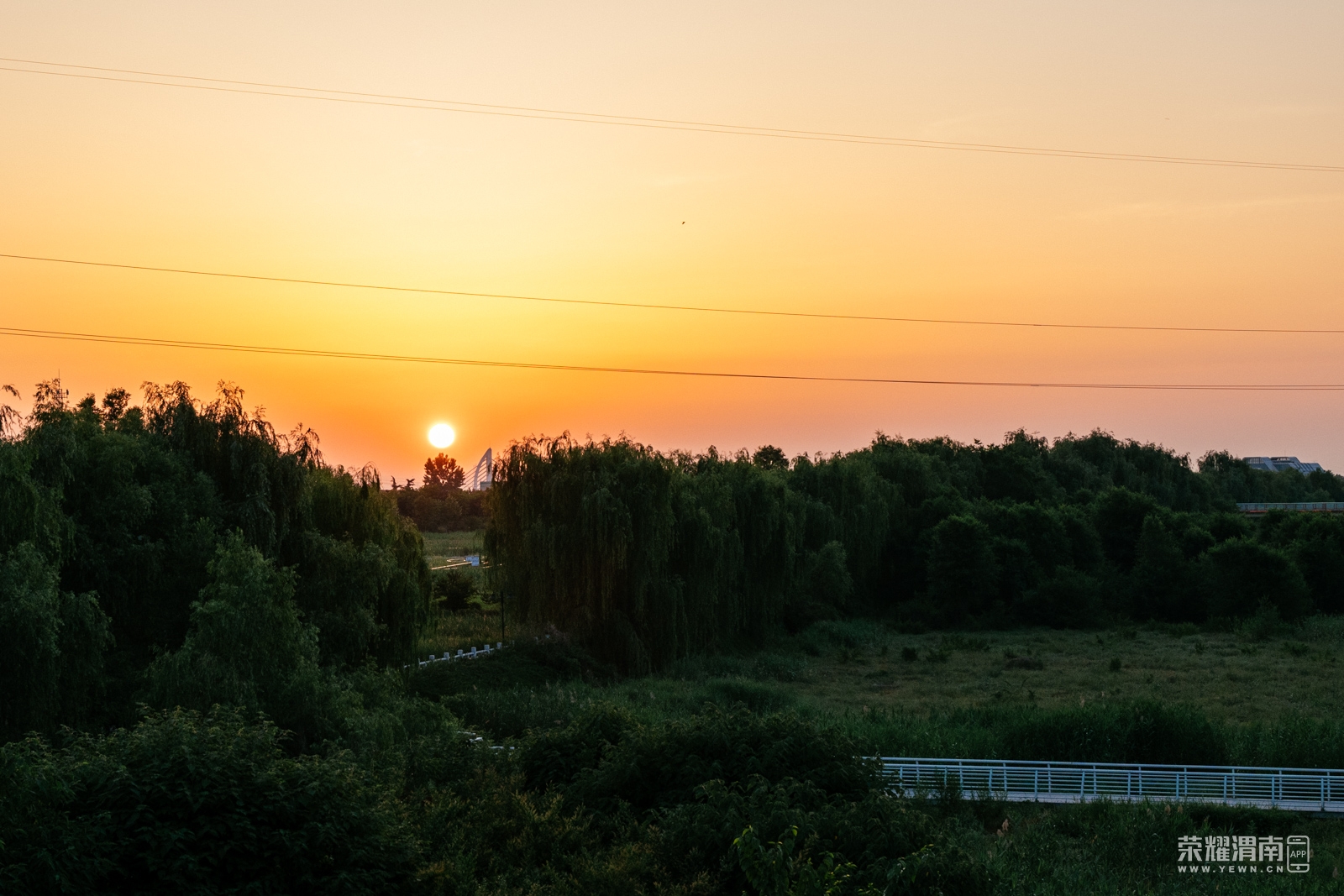 _Z5A2792.jpg