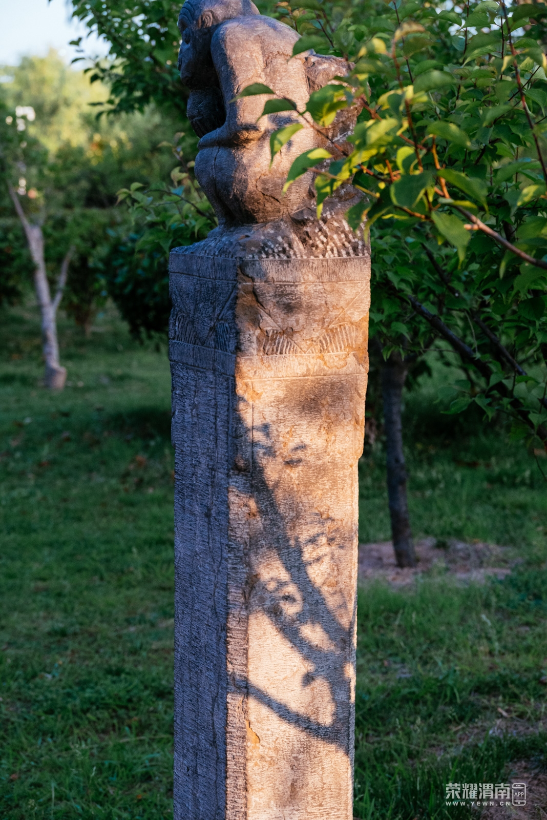 _Z5A2843.jpg