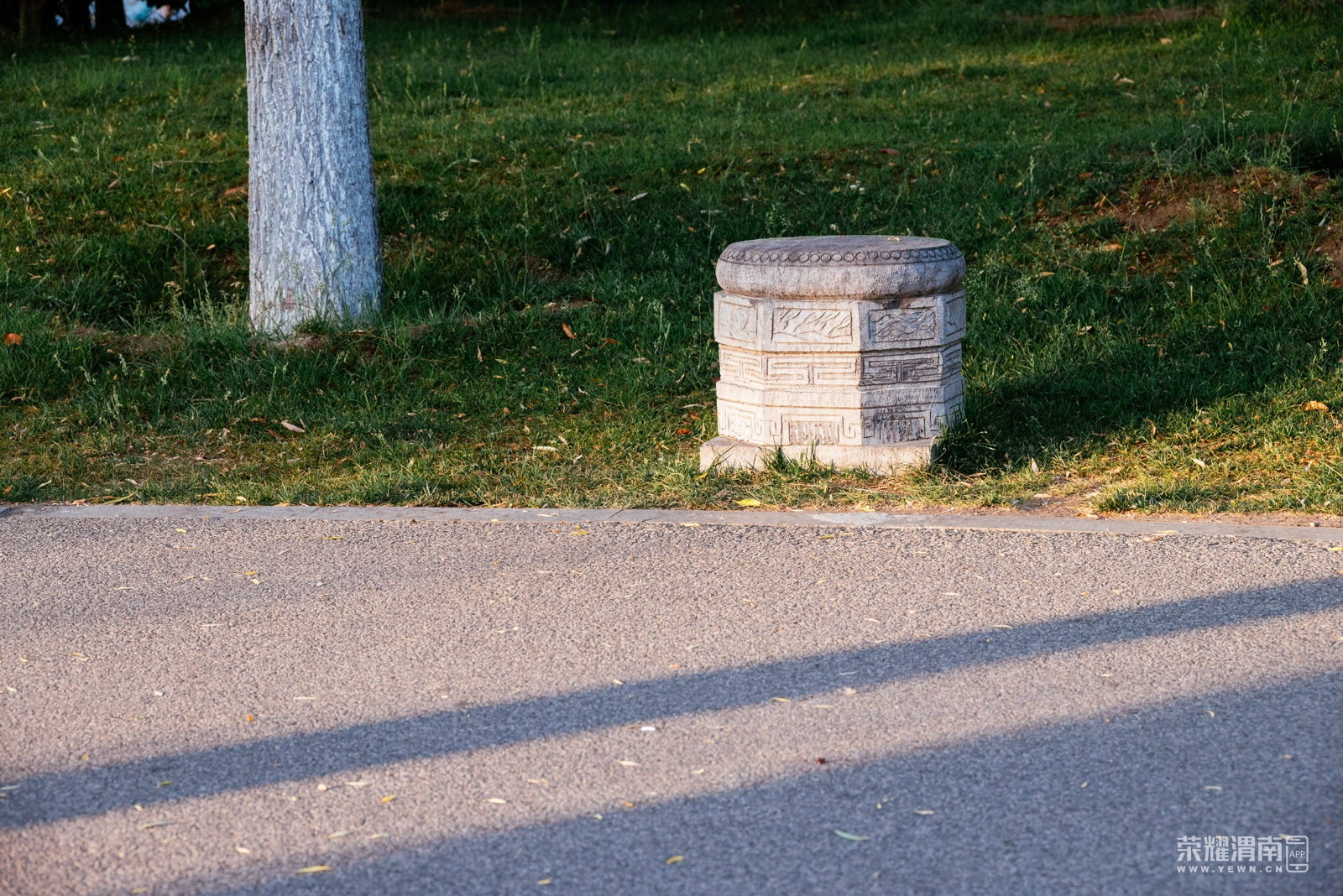 _Z5A2845.jpg