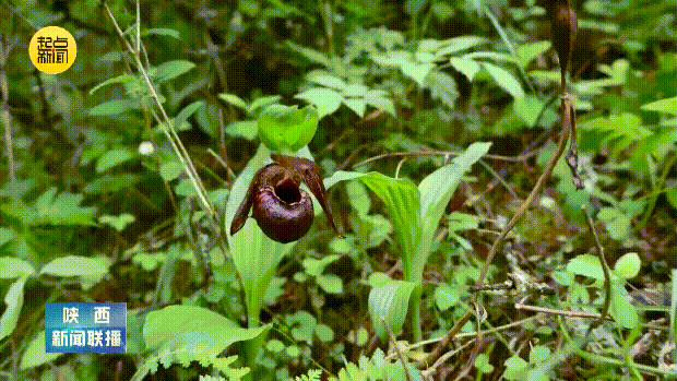 142418mckgpfpc58lcckc4.gif