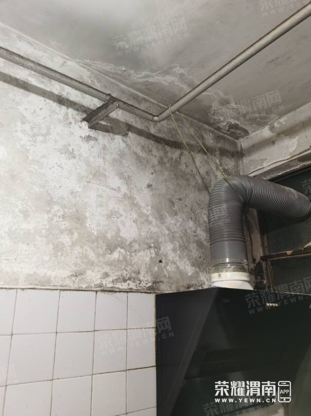 225930h40ll0j645v28064.jpg
