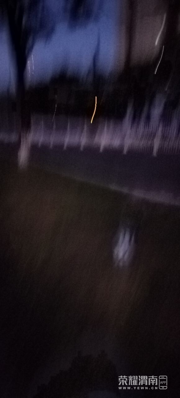 20240809201845front2_0_206085_Frsm6DGIiMOz082__Wzla9LSvX2I.jpg