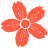 171507c2j55v10vv2javzr.png