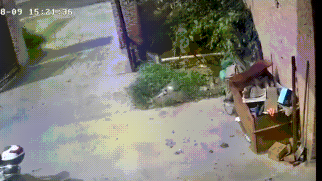 174632eowfnovtjktoyoe5.gif