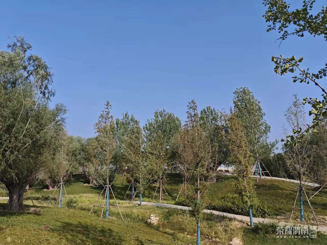 20240917191824front2_0_276765_Fop9crTp68_bN5km5MikfpIbTImN.jpg