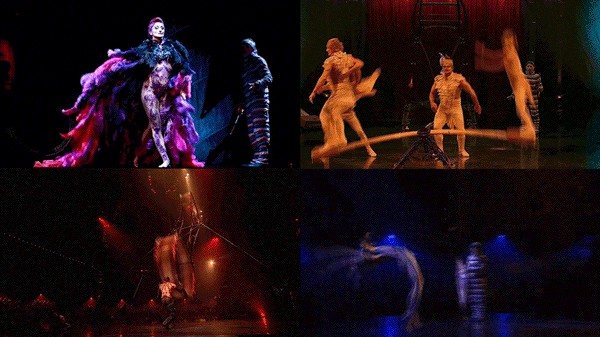 170219m6woroldl7kd1s36.gif