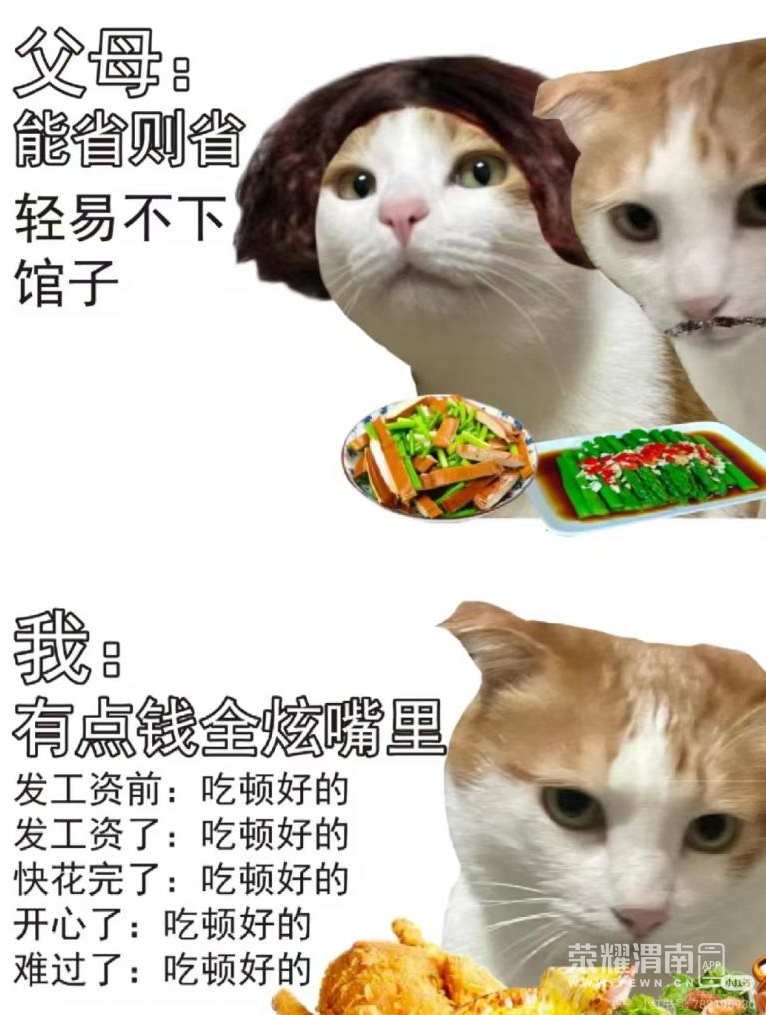 153828gkgxvt2l2v1pg6ga.png
