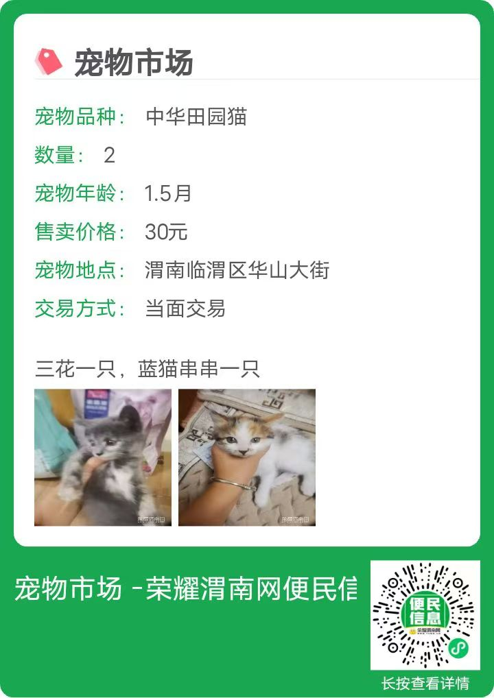 171219jdxr3pp6hynz90yq.png