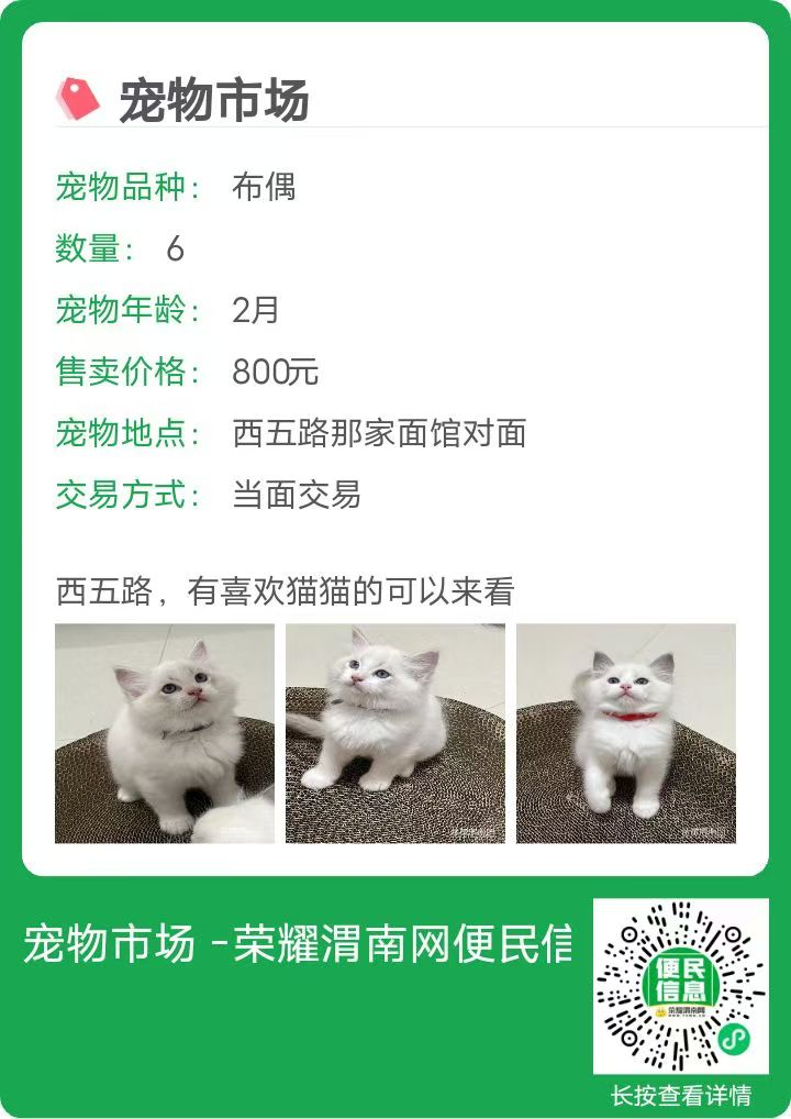 171222dmo2243b35d61jpa.png