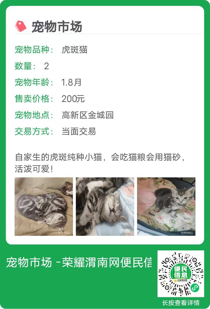 171229jy9wi5iaf55e5kce.png