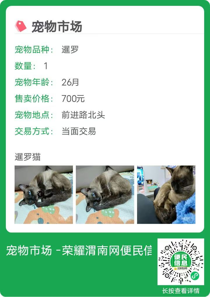 171231kb52aizjxai3rr6y.png