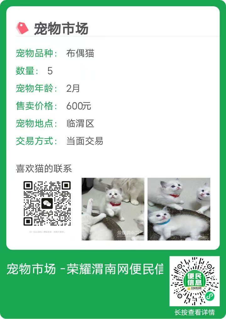 171231m6ok3qo1w036z56i.png