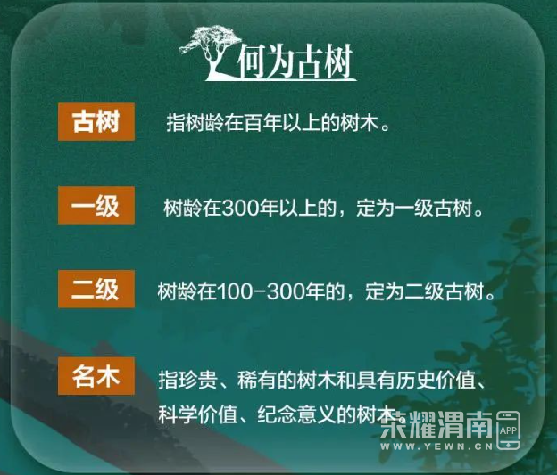 123712iydsmostozeol784.png