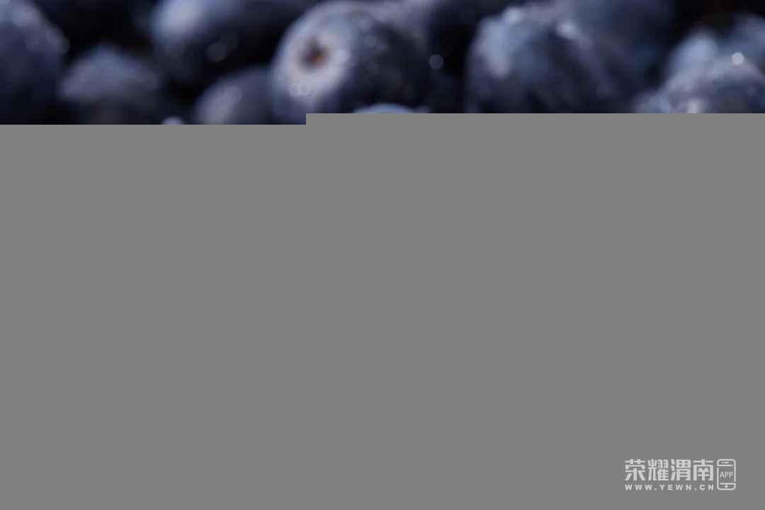 164335d8e08e9dueme00ep.jpeg