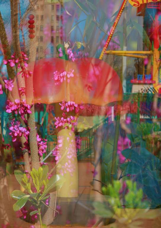20250408190215front2_0_161040_FurmhC0Y9rnAGS5TA7YOwk3xksrM.jpg