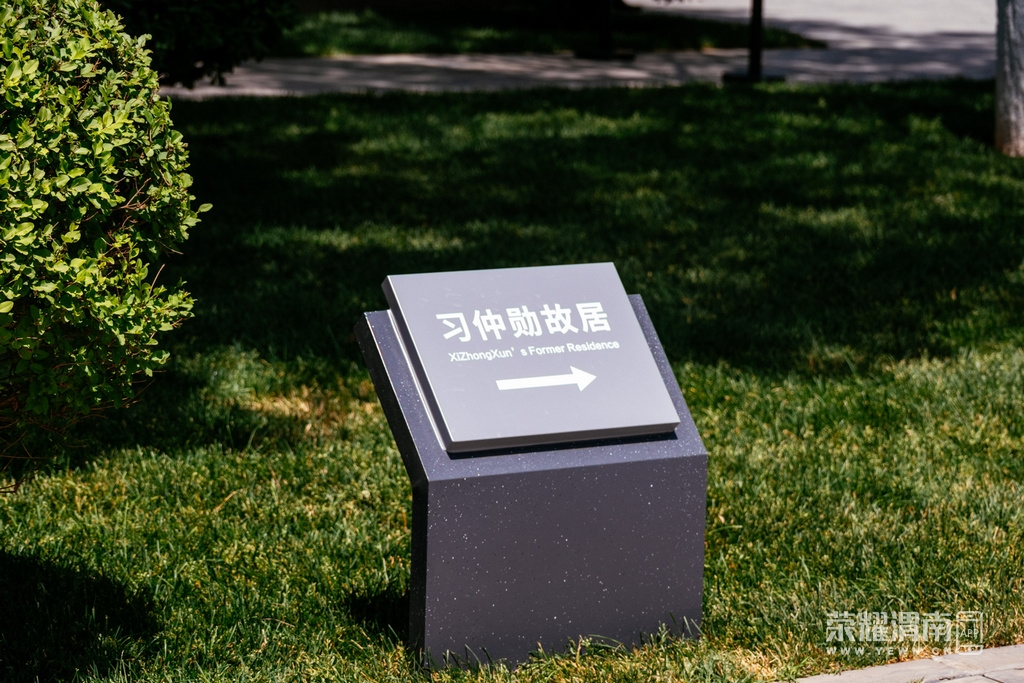 _ZFA5451.jpg
