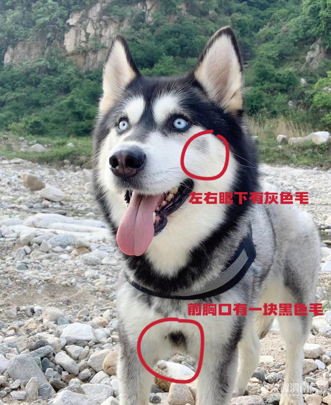 20250504015538mini_bbs_wap_305274_Fr2PrXRHcWKjehIiEDJjwb9HcQXP.jpg