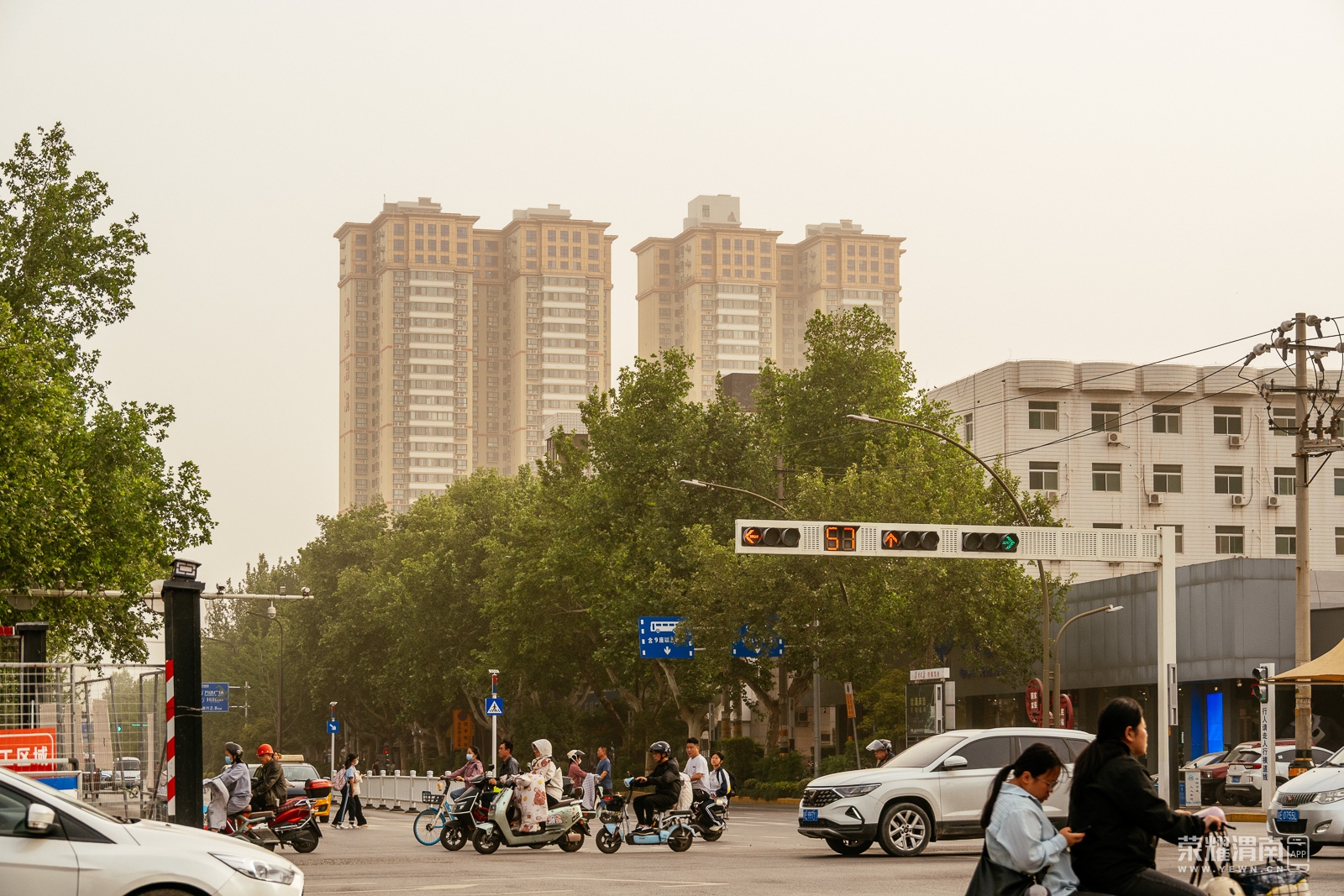 _ZFA5854.jpg