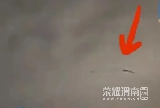 114623ou2ic58cv28q7rc1.jpeg