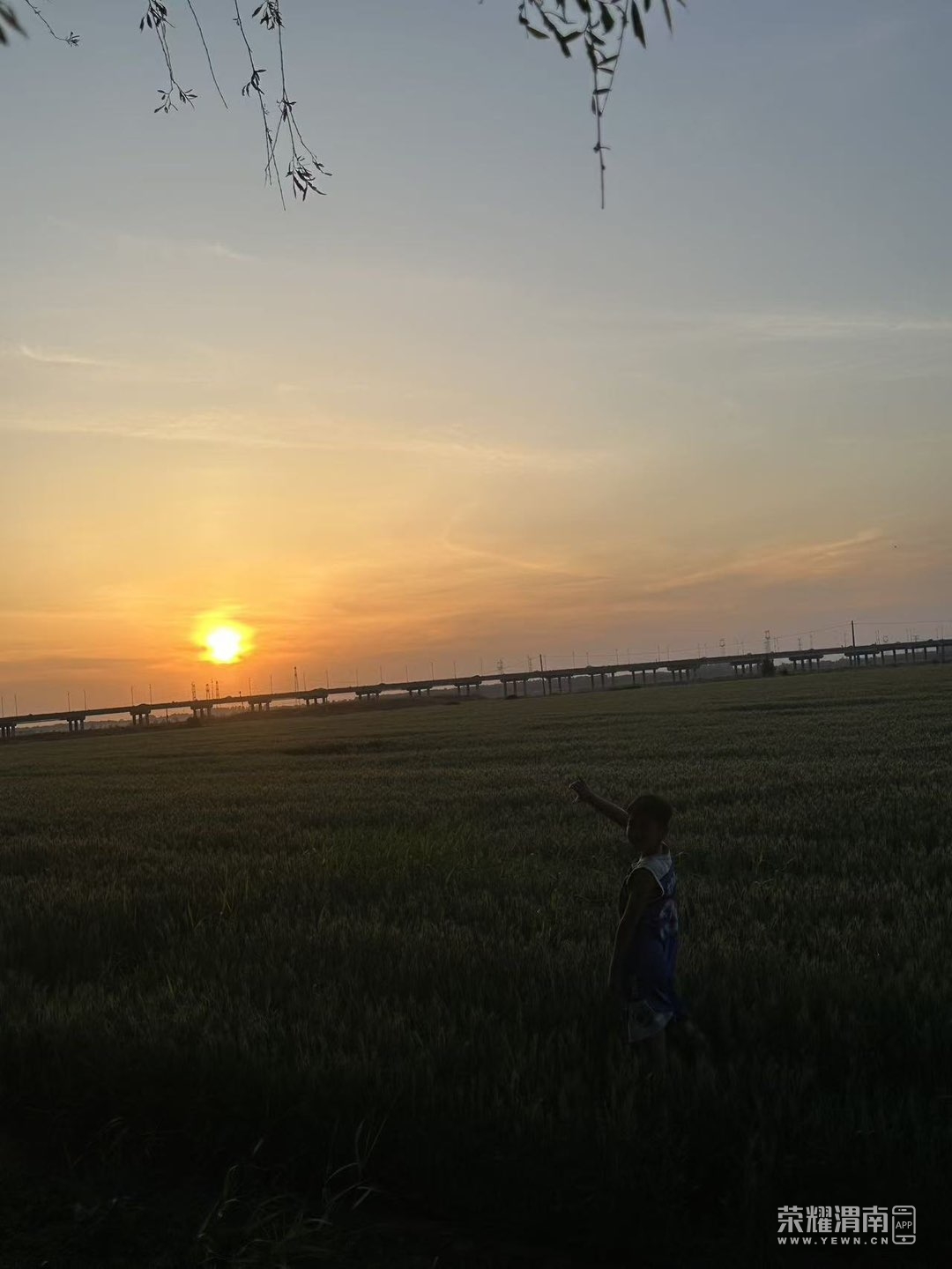 20250513115330front1_0_194337_Fmk1ZDd50ezvv9cZJTHaBx9SKZuU.jpg