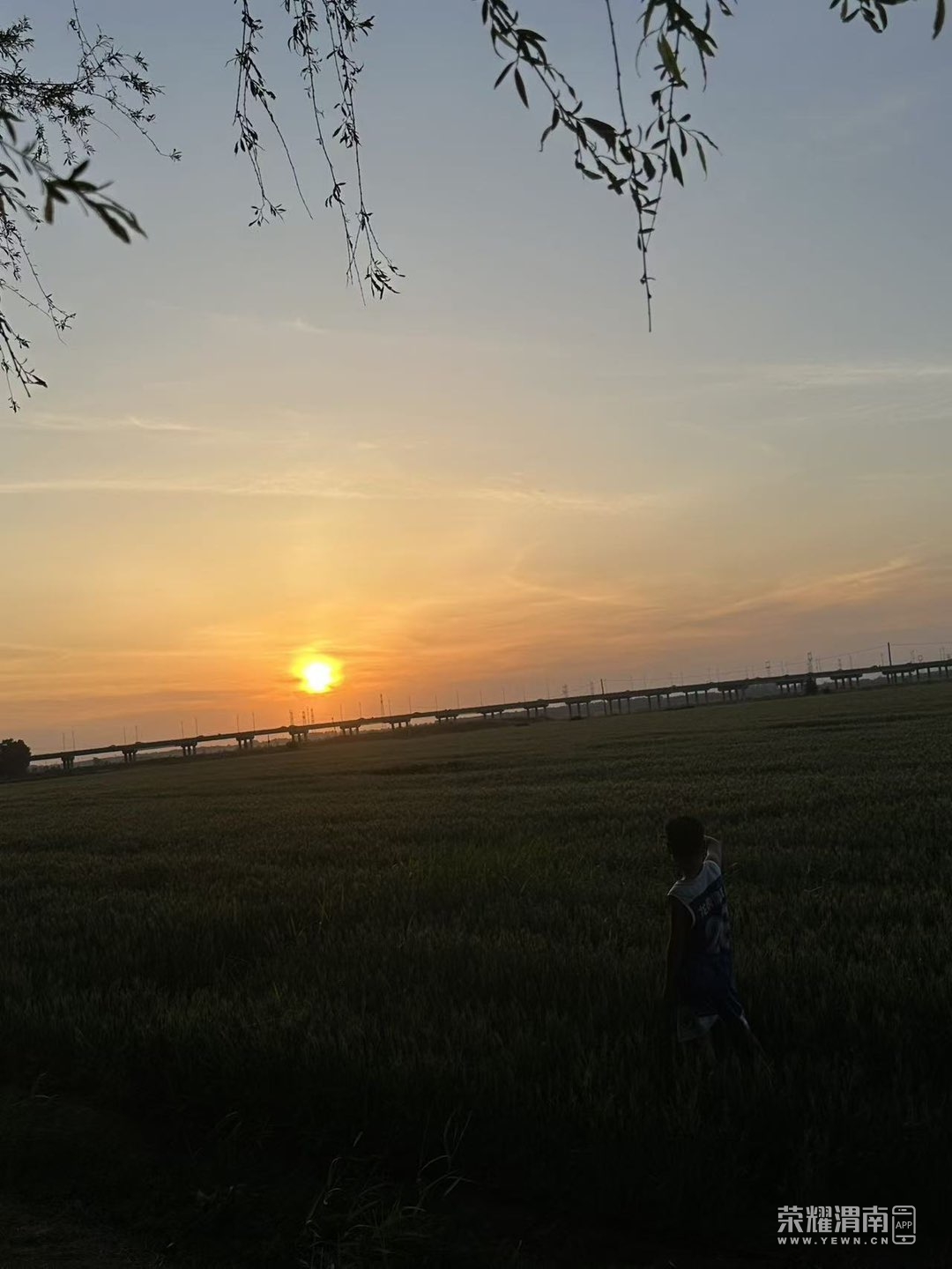 20250513115330front1_0_194337_FtHkR3UMUWMt69RxlX4kJwolQGDm.jpg