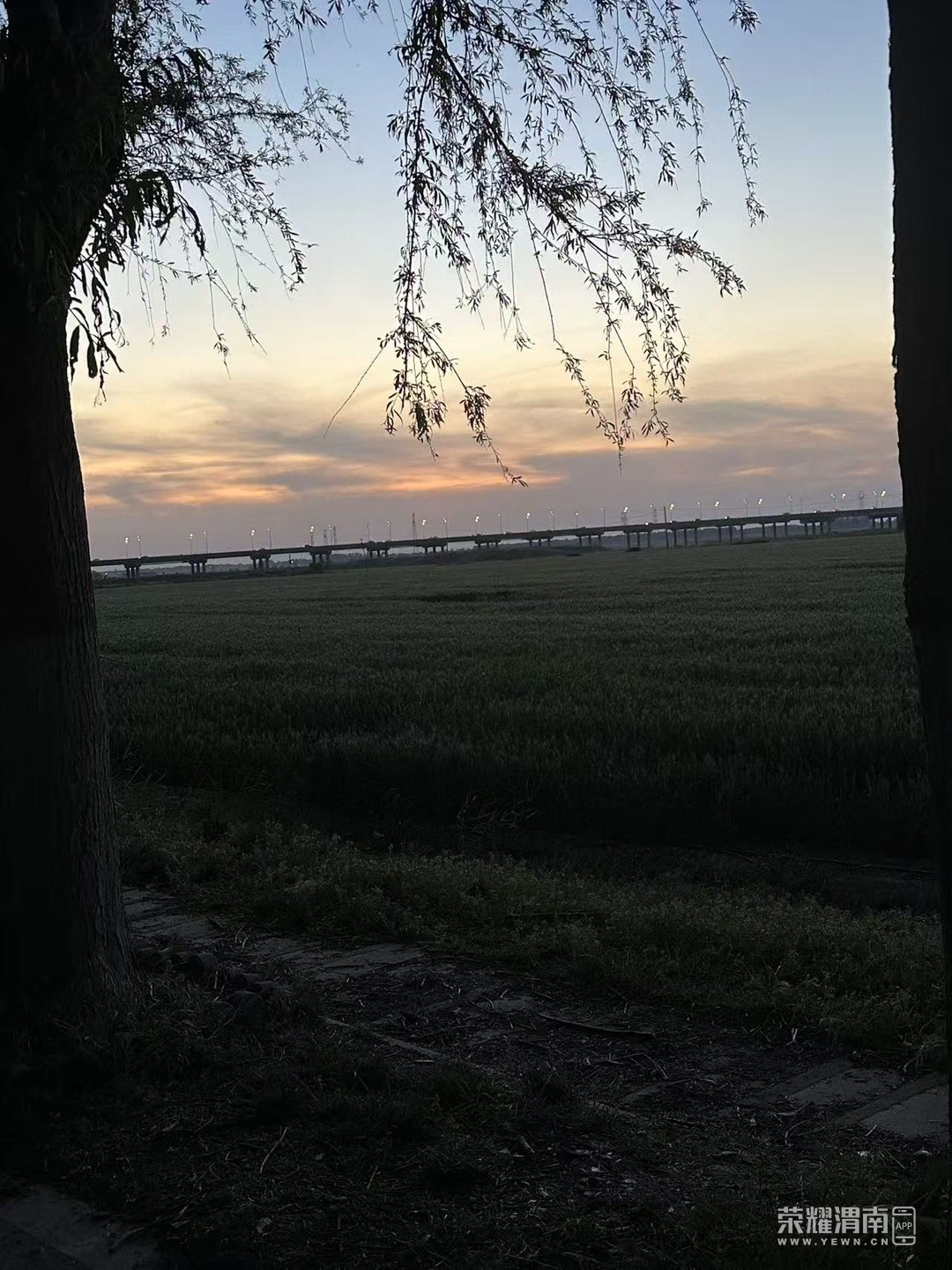 20250513115330front1_0_194337_Fmmo3NsyVRuUeKLUYTZ3Loekbd0F.jpg