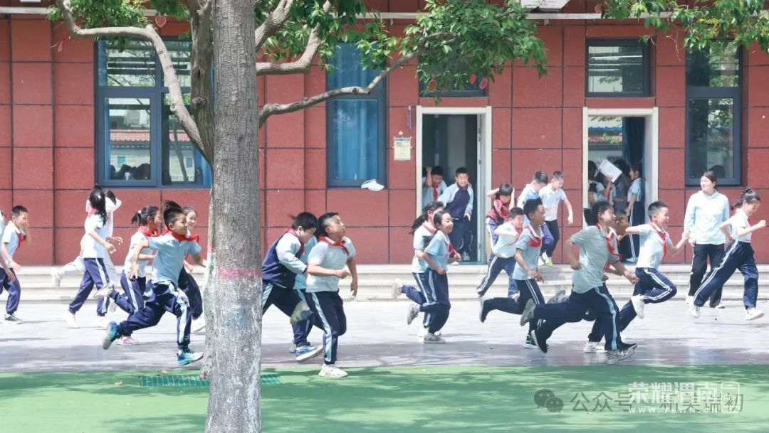 160759wei11r1pipdlmpre.jpeg