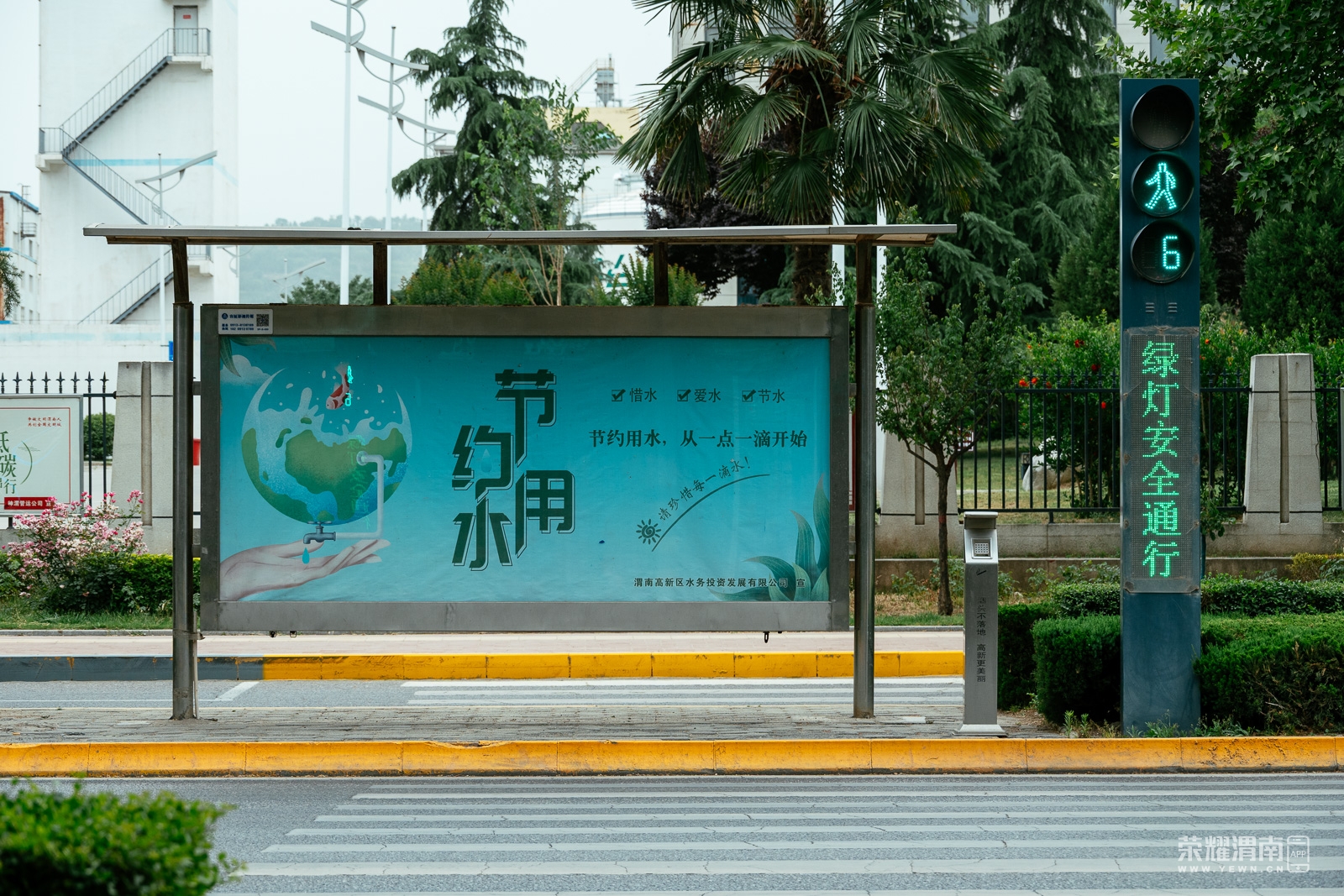 _ZFA7254.jpg